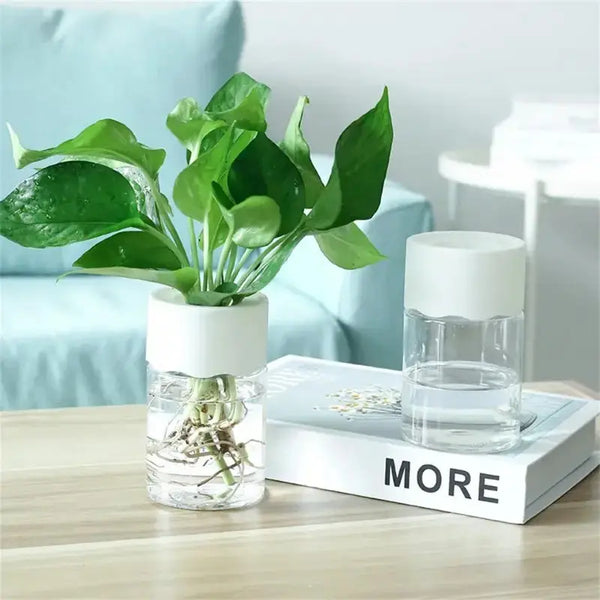 Mini Hydroponic Flower Pot Home Vase Pack Of 2 My Store