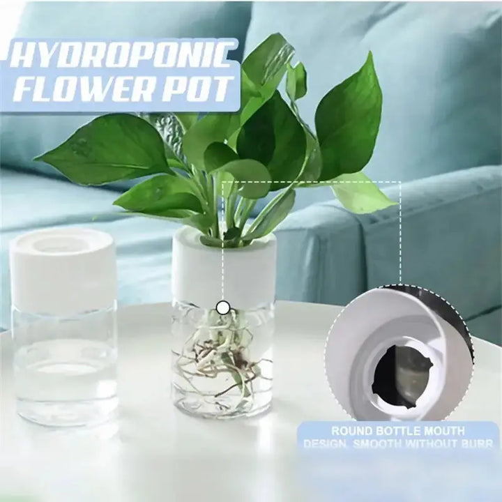 Mini Hydroponic Flower Pot Home Vase Pack Of 2 My Store
