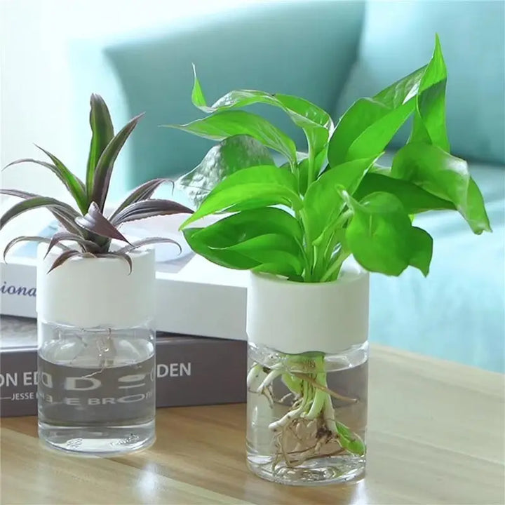 Mini Hydroponic Flower Pot Home Vase Pack Of 2 My Store