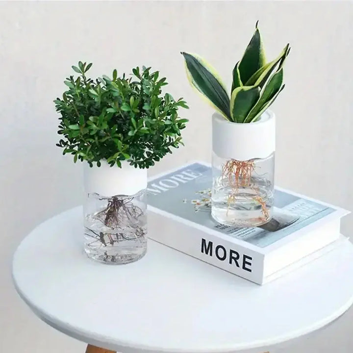 Mini Hydroponic Flower Pot Home Vase Pack Of 2 My Store